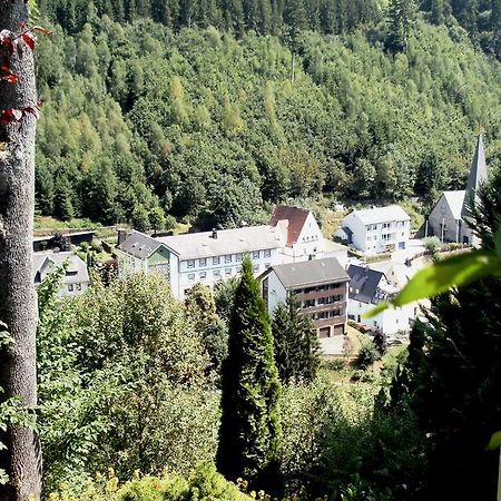 Gasthof Rodachtal Mit Gaestehaus Katharina Schwarzenbach am Wald Eksteriør bilde
