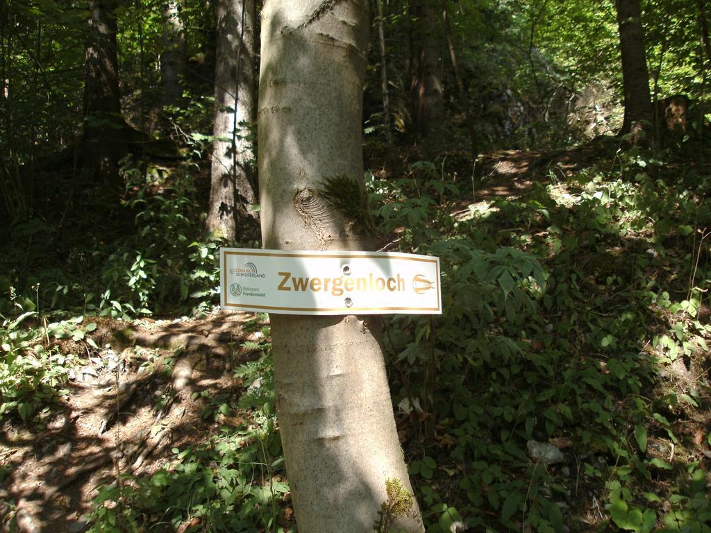 Gasthof Rodachtal Mit Gaestehaus Katharina Schwarzenbach am Wald Eksteriør bilde